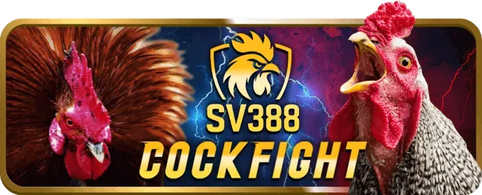 Đặc quyền VIP bi888 win