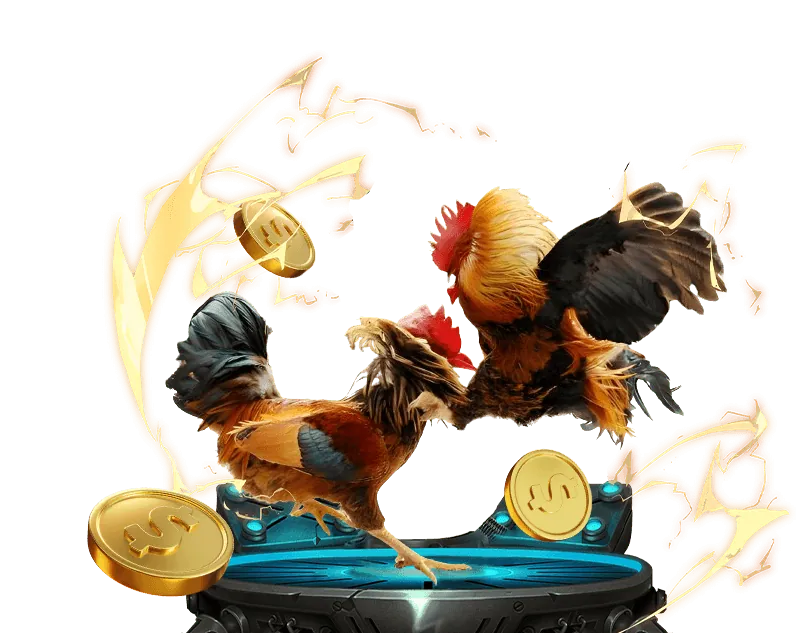 Tính năng nền tảng cá cược bi888 win